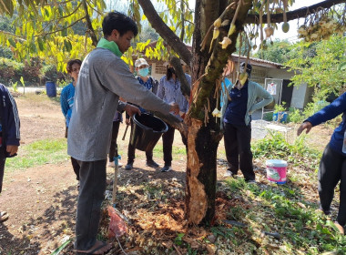 โครงการส่งเสริมและพัฒนาอาชีพเพื่อแก้ไขปัญหาที่ดินทำกินของเกษตรกร ... พารามิเตอร์รูปภาพ 10