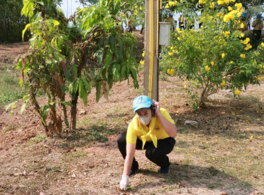 กิจกรรมจิตอาสาเนื่องในวันกองทัพไทย/วันยุทธหัตถี ... พารามิเตอร์รูปภาพ 12