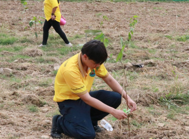 กิจกรรมบำเพ็ญสาธารณประโยชน์ ... พารามิเตอร์รูปภาพ 13