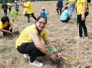 กิจกรรมบำเพ็ญสาธารณประโยชน์ ... พารามิเตอร์รูปภาพ 48