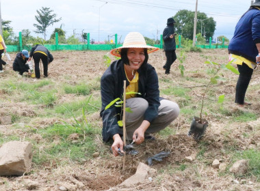 กิจกรรมบำเพ็ญสาธารณประโยชน์ ... พารามิเตอร์รูปภาพ 37