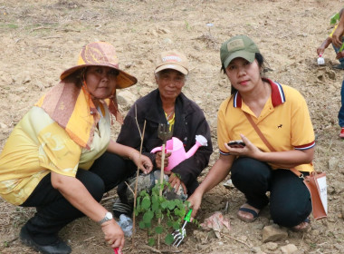 กิจกรรมบำเพ็ญสาธารณประโยชน์ ... พารามิเตอร์รูปภาพ 9