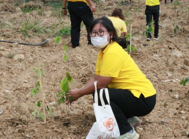 กิจกรรมบำเพ็ญสาธารณประโยชน์ ... พารามิเตอร์รูปภาพ 23