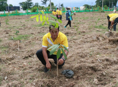 กิจกรรมบำเพ็ญสาธารณประโยชน์ ... พารามิเตอร์รูปภาพ 4