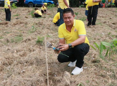 กิจกรรมบำเพ็ญสาธารณประโยชน์ ... พารามิเตอร์รูปภาพ 31