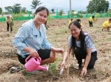 กิจกรรมบำเพ็ญสาธารณประโยชน์ ... พารามิเตอร์รูปภาพ 41