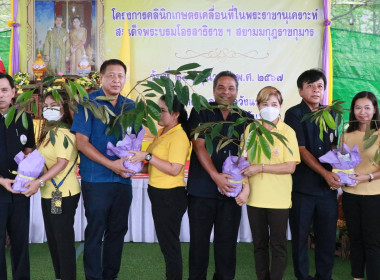 โครงการคลินิกเกษตรเคลื่อนที่ในพระราชานุเคราะห์สมเด็จพระบรมโอรสาธิราชฯ สยามมกุฎราชกุมาร ... พารามิเตอร์รูปภาพ 10