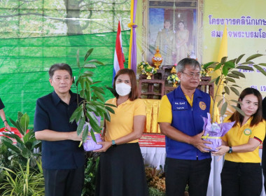 โครงการคลินิกเกษตรเคลื่อนที่ในพระราชานุเคราะห์สมเด็จพระบรมโอรสาธิราชฯ สยามมกุฎราชกุมาร ... พารามิเตอร์รูปภาพ 8