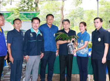 โครงการคลินิกเกษตรเคลื่อนที่ในพระราชานุเคราะห์สมเด็จพระบรมโอรสาธิราชฯ สยามมกุฎราชกุมาร ... พารามิเตอร์รูปภาพ 35