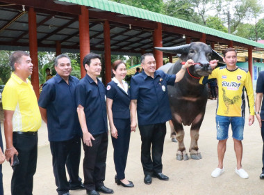 โครงการคลินิกเกษตรเคลื่อนที่ในพระราชานุเคราะห์สมเด็จพระบรมโอรสาธิราชฯ สยามบรมราชกุมาร เฉลิมพระเกียรติพระบาทสมเด็จพระเจ้าอยู่หัว ... พารามิเตอร์รูปภาพ 5