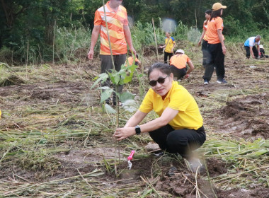 โครงการวันเครดิตยูเนี่ยนไทยประจำปี2567 ... พารามิเตอร์รูปภาพ 7