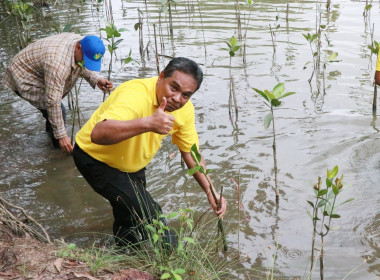 “ปล่อยปู ปล่อยปลา ปลูกป่าชายเลน” พารามิเตอร์รูปภาพ 70