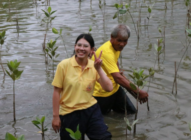 “ปล่อยปู ปล่อยปลา ปลูกป่าชายเลน” พารามิเตอร์รูปภาพ 4