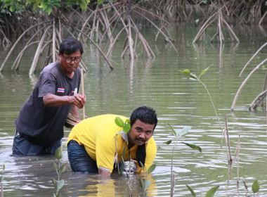 “ปล่อยปู ปล่อยปลา ปลูกป่าชายเลน” พารามิเตอร์รูปภาพ 16