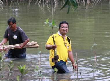 “ปล่อยปู ปล่อยปลา ปลูกป่าชายเลน” พารามิเตอร์รูปภาพ 17