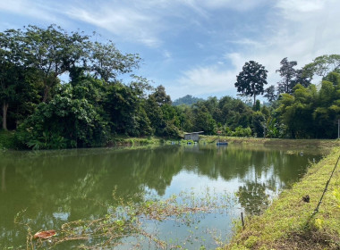 ตรวจเยี่ยมและติดตามการใช้เงินกู้กองทุนพัฒนาสหกรณ์ พารามิเตอร์รูปภาพ 6