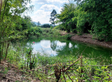 ลงพื้นที่ตรวจเยี่ยมและติดตามการใช้เงินกู้กองทุนพัฒนาสหกรณ์ ... พารามิเตอร์รูปภาพ 3